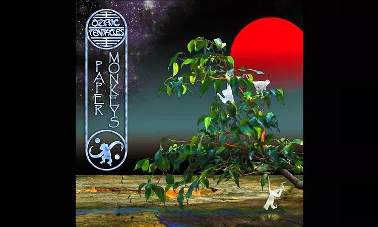 ozric tentacles - lost in the sky.wmv