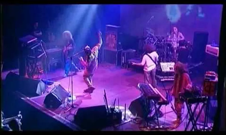 Ozric Tentacles - Myriapod (Live)