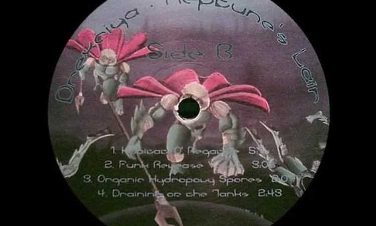 Drexciya - Bottom Feeders