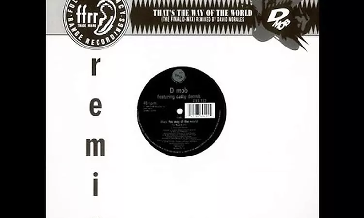 D Mob   That's The Way Of The World Underworld Dub Me mix
