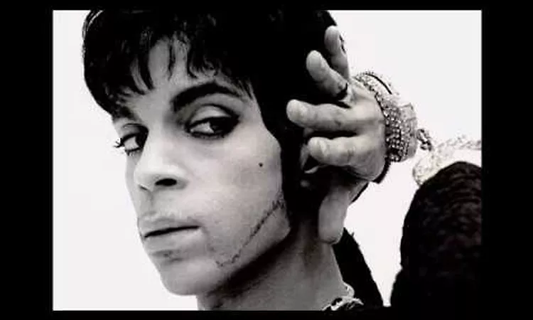 Prince - Zannalee