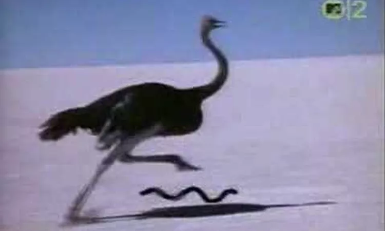 Talk Talk - It?s My Life