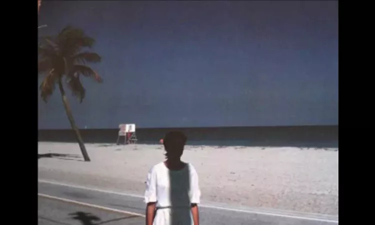 Steve Hiett / ??? / 03 - By The Pool