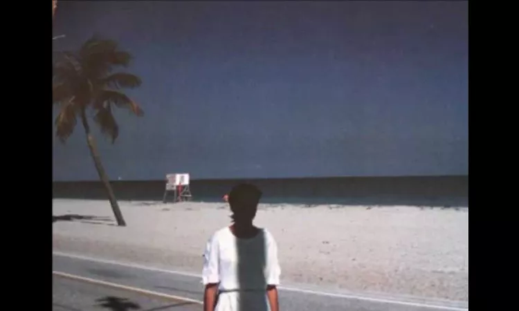 Steve Hiett / ??? / 06 - Looking Across The Street