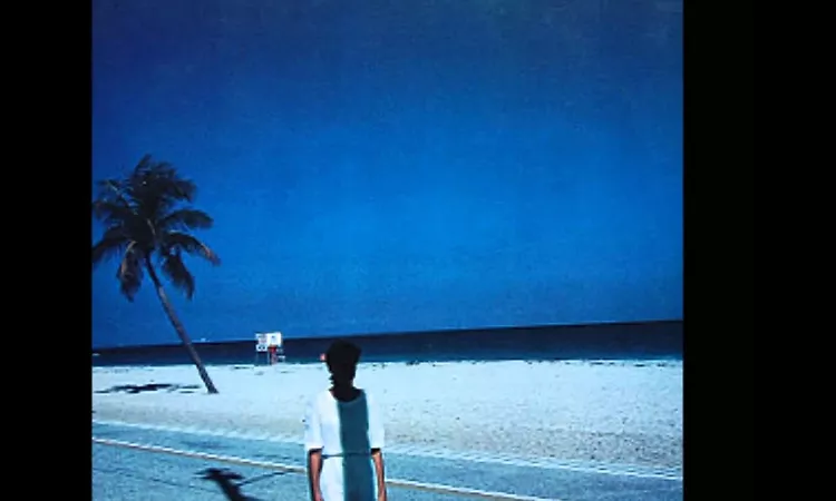 Steve Hiett / ??? / 13 - Standing There