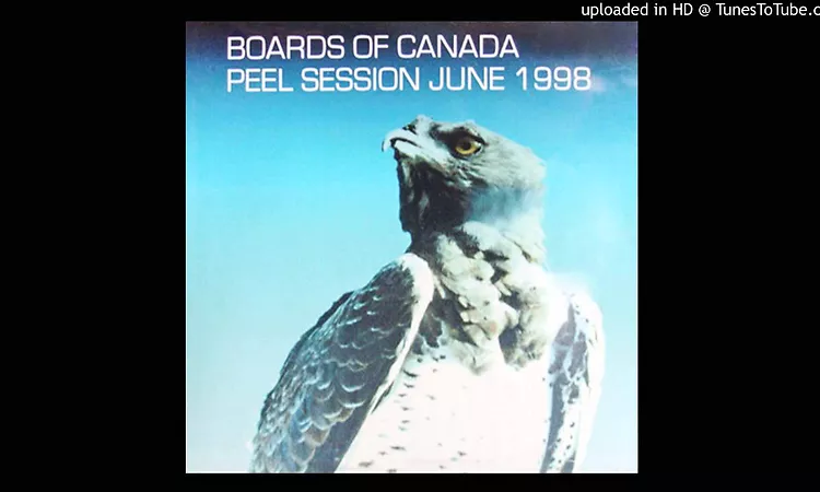 Boards of Canada - Happy Cycling (Bad Day) (original Peel Session broadcast version)