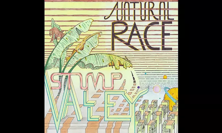 Stump Valley - Magnifico Notturno
