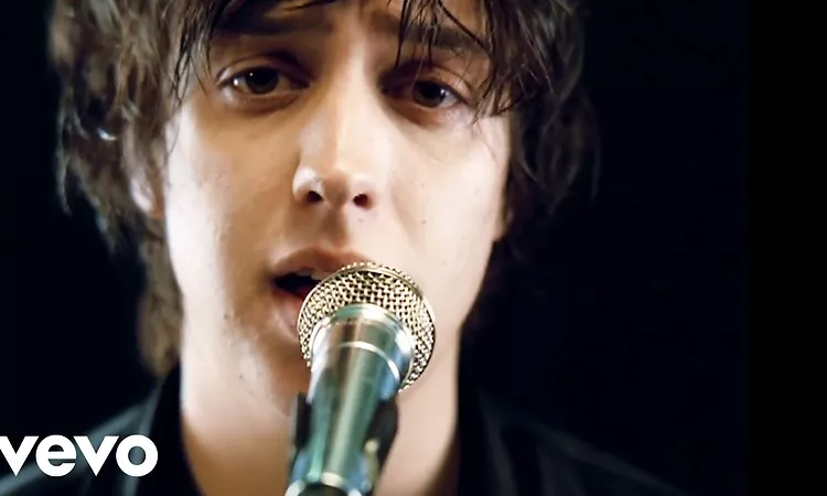 The Strokes - Reptilia (Official Music Video)