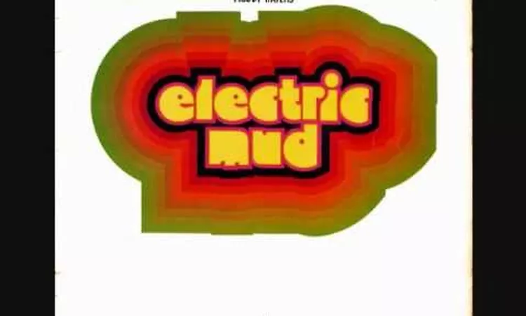 Muddy Waters - Tom Cat - 1968