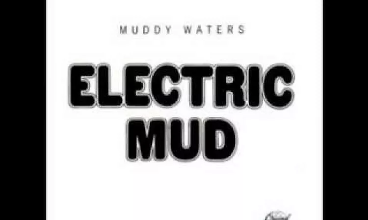 Muddy Waters - She's alright