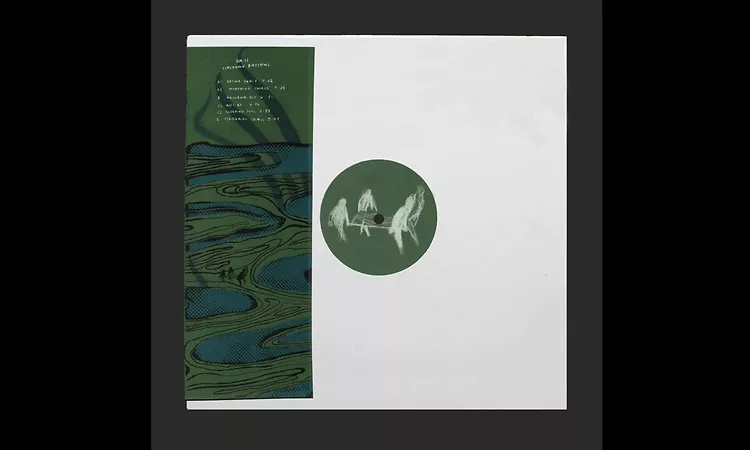 PREMIERE: Circadian Rhythms - Nocturnal Fly [Basic Moves]