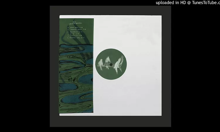 PREMIERE #592 | Circadian Rhythms - Performing Crimes [Basic Moves] 2019