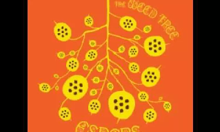 Espers - Black is The Colour (The Weed Tree)