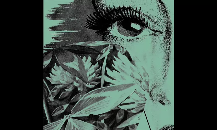 EYE - Non Siamo [Knekelhuis]