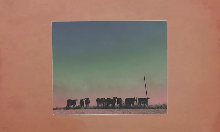 Khruangbin - Lady and Man