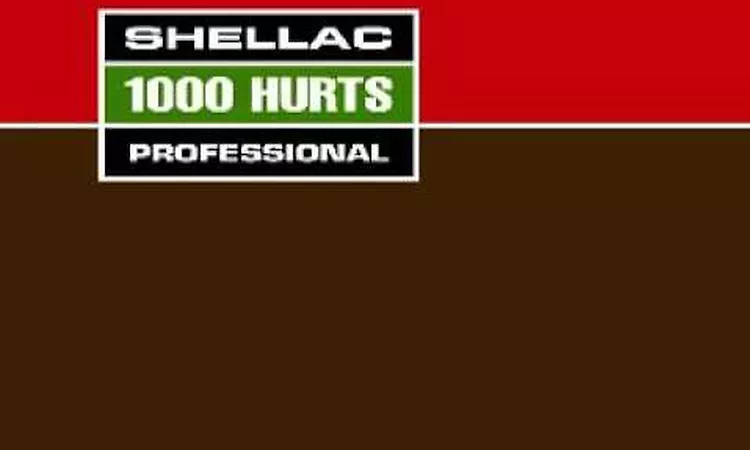 Shellac - New Number Order