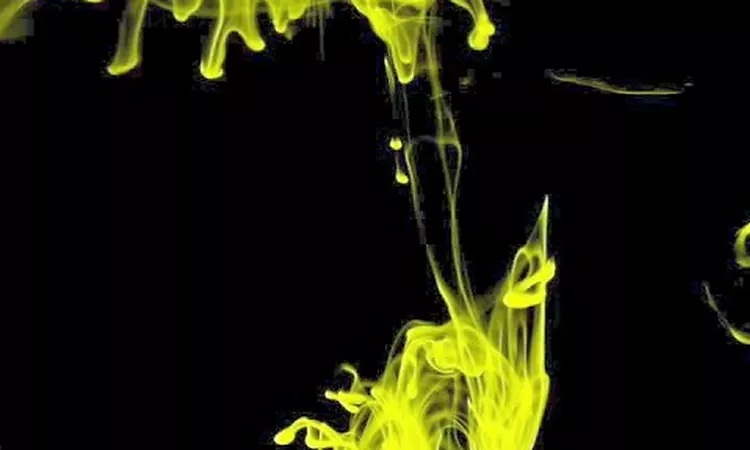 Thievery Corporation  - 2001 Spliff Odyssey