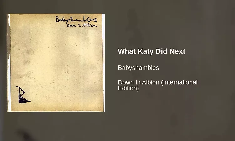 Babyshambles - What Katy Did Next
