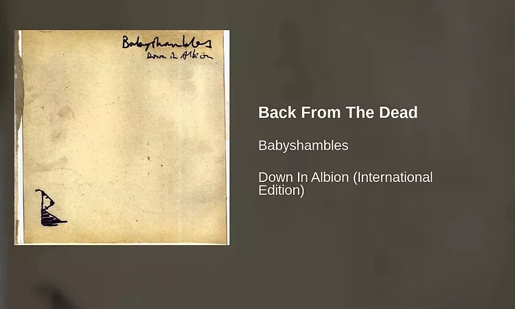 Babyshambles - Back From The Dead
