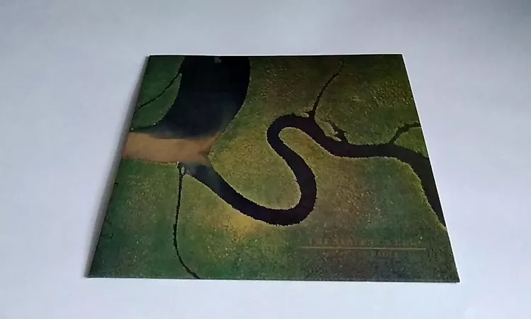 ?????? ?22. Dead Can Dance ? The Serpent's Egg(Vinyl, LP, Album, Reissue)