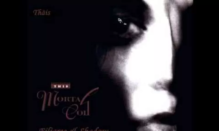 This Mortal Coil - Th?is