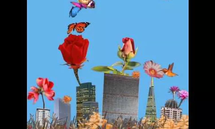 Dua Lipa - Garden (Album Visual)