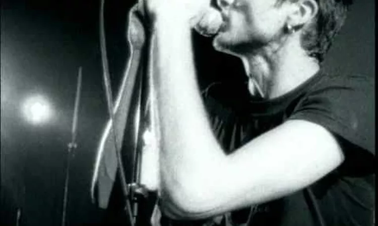 Suede - Filmstar
