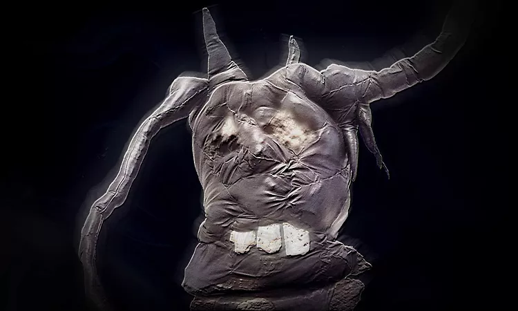 t?t?ma ? Haunted On The Uptake (Visualizer)