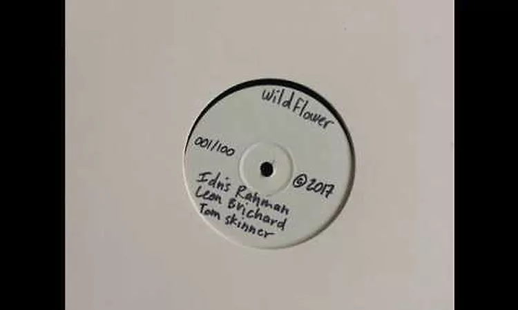 Idris Rahman, Leon Brichard, Tom Skinner - WILDFLOWER [Full Album]