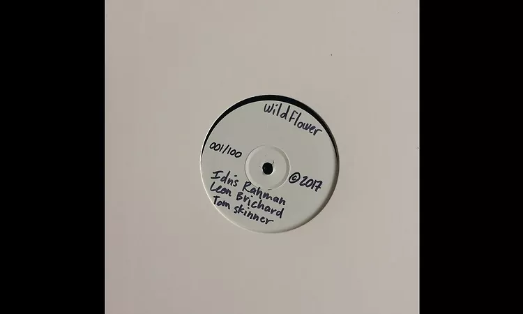 Idris Rahman, Leon Brichard, Tom Skinner -  WILDFLOWER -  Other worlds