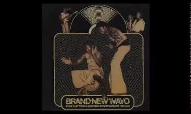 Various ?? Brand New Wayo - Funk, Fast Times & Nigerian Boogie Badness '79-'83 Afrobeat Disco Music