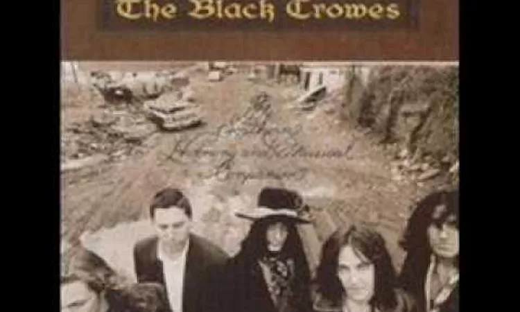 Sting Me.wmv