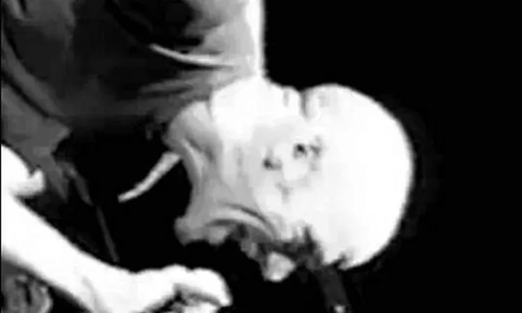 R.E.M. - Star 69  ( Parallel Video Version )