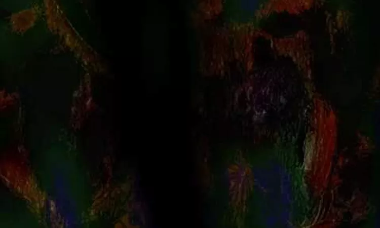 Bill Nelson - The Shadow Garden