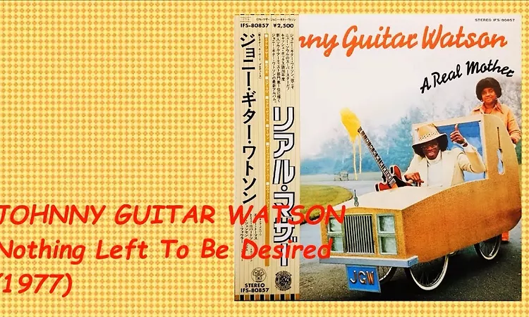 JOHNNY GUITAR WATSON - Nothing Left To Be Desired (1977) Soul Funk *?????????????