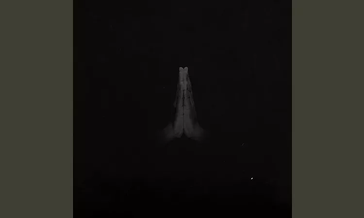 Rise