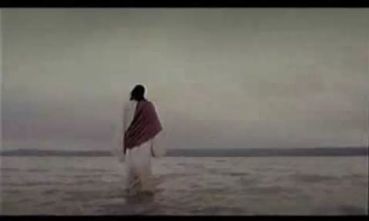 PJ Harvey - Angelene (Fan Video)