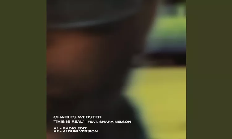 This Is Real (feat. Shara Nelson)