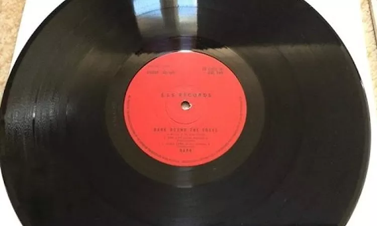 Dark ? Dark Round The Edges `Mega Rare` 1972 Private Pressing ?25,000